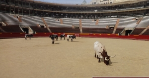 praca-de-touros-valencia