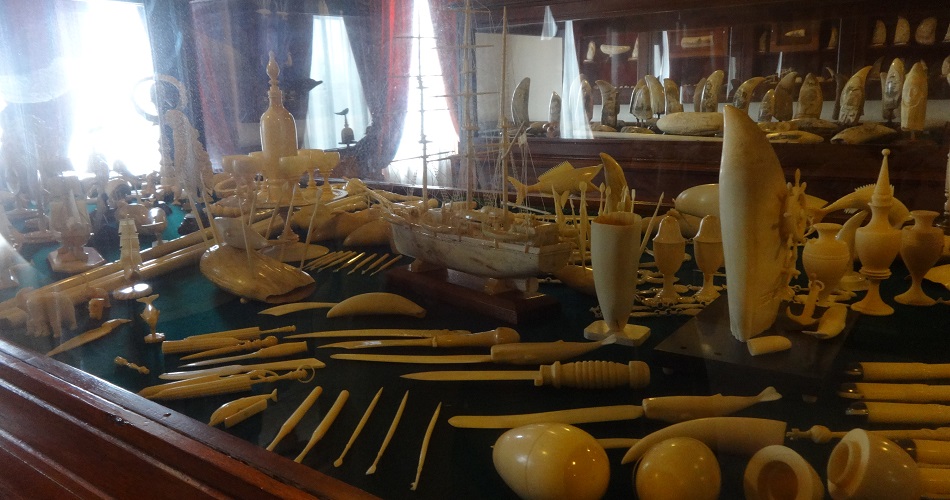 museu-Scrimshaw-galeria